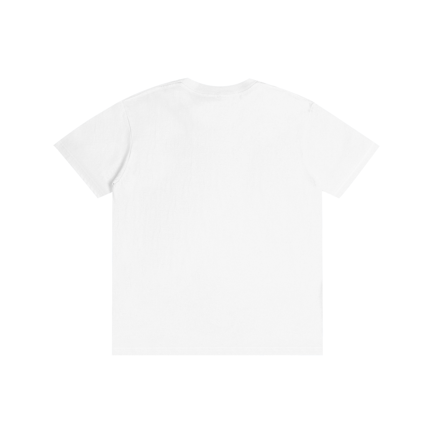 Men's T-shirt ,Women's T-shirts ,Recovery T-shirt ,Sobriety ,Addiction recovery ,High Life
