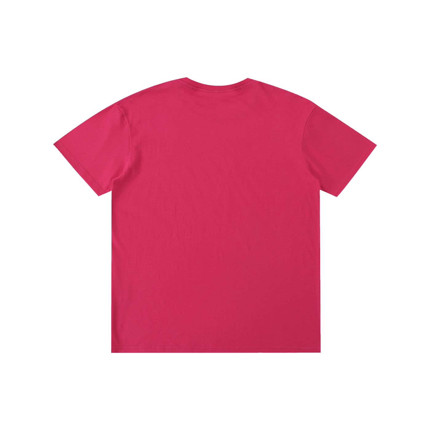 Recovery T-shirt ,Sobriety T-shirt ,Men's T-shirt ,Women's T-shirts ,T-shirt ,Addiction Recovery 